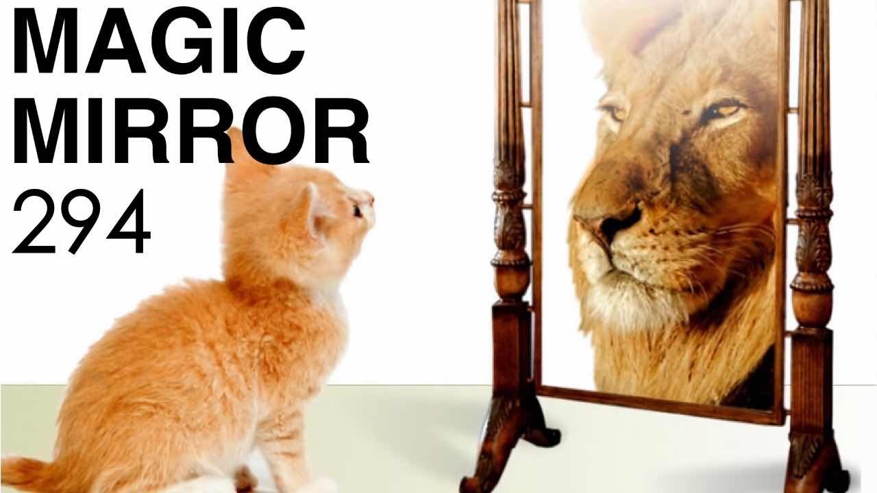 Magic Mirror 294 - Singer vs Writer