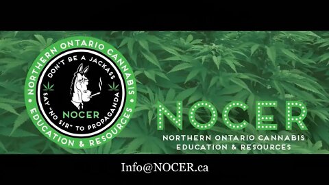 CBD Sunday with Nicole