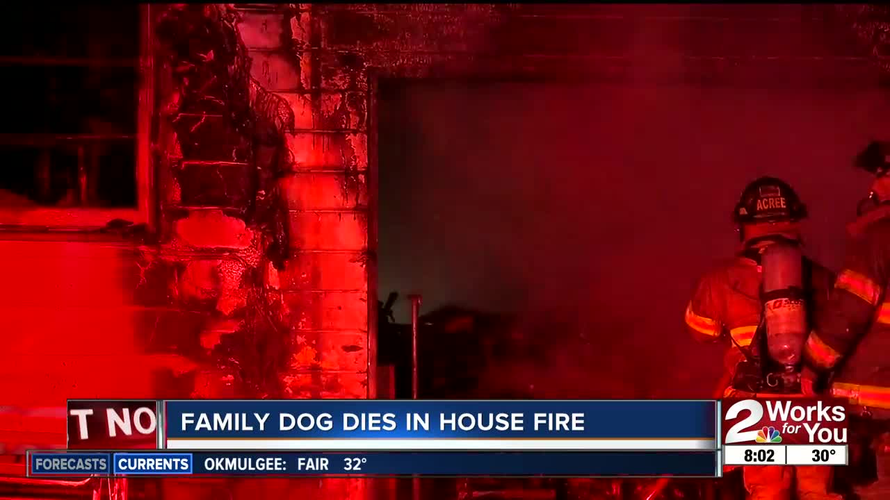 Family dog dies in house fire