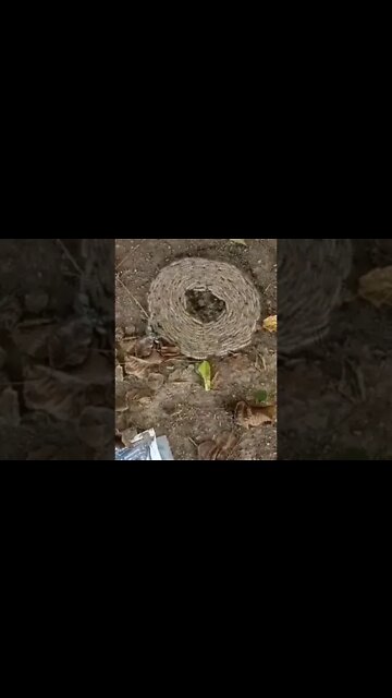 ۲۴ نوامبر ۲۰۲۲