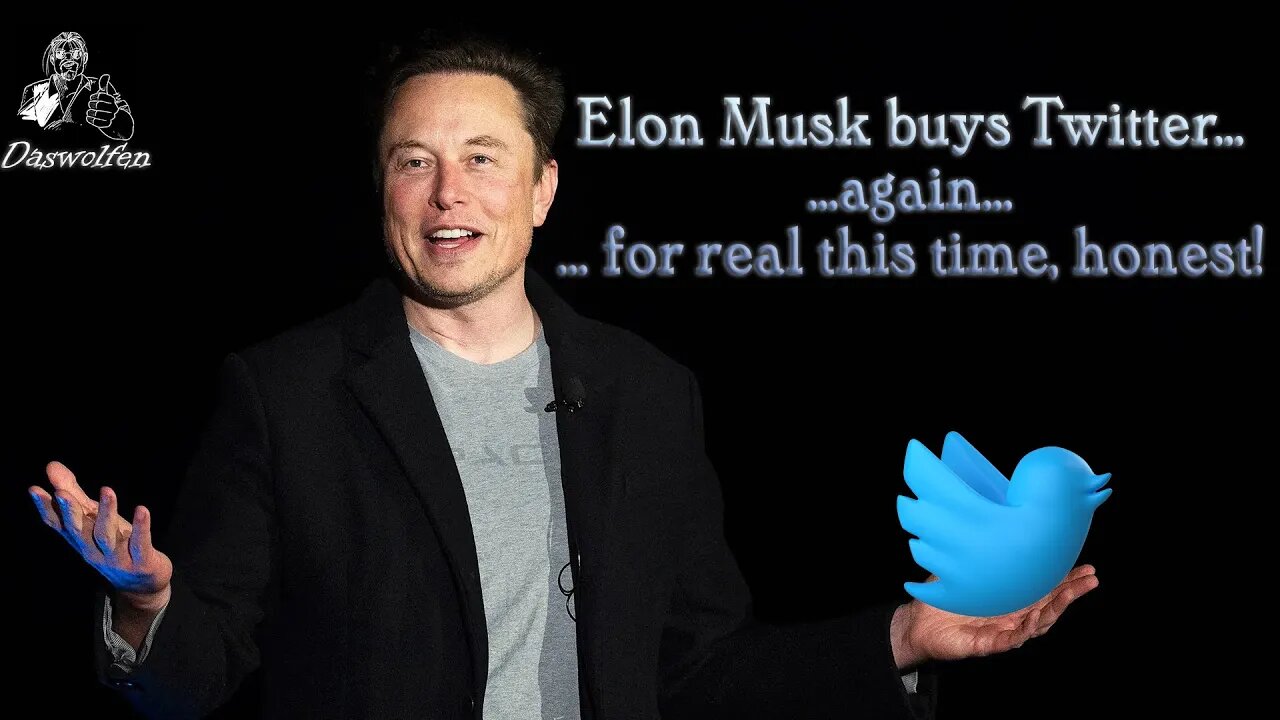 Elon Musk Buys Twitter (Again) #elonmusk #daswolfen