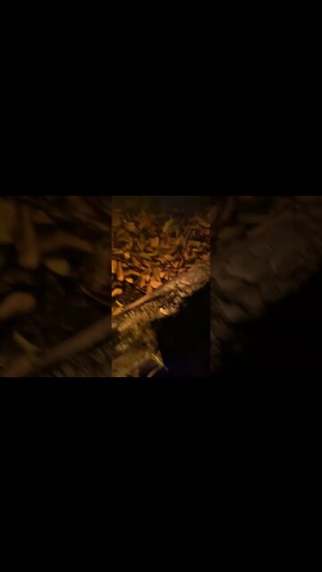 When your out of lawn chairs #shorts