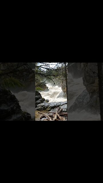 Freash water shortage? #livefree #shorts