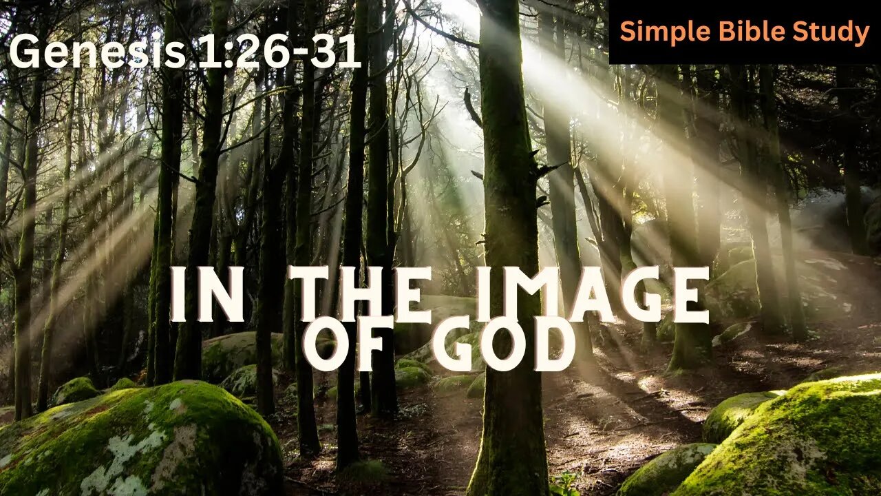 Genesis 1:26-31: In the image of God | Simple Bible Study