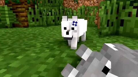 8 & WOLF LIFE MOVIE Cubic Minecraft Animations All Episodes + BONUS