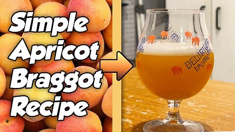 Making a 6% Apricot Braggot Mead & Beer Combo with Tasting!