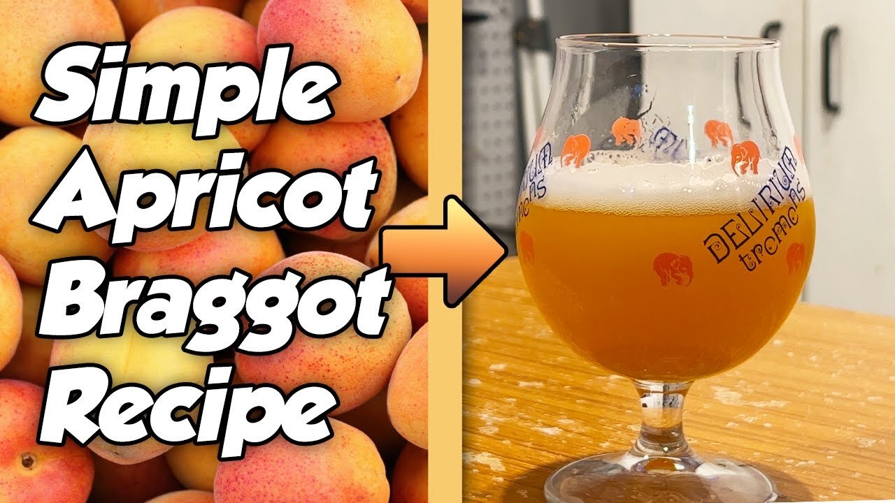 Making a 6% Apricot Braggot Mead & Beer Combo with Tasting!
