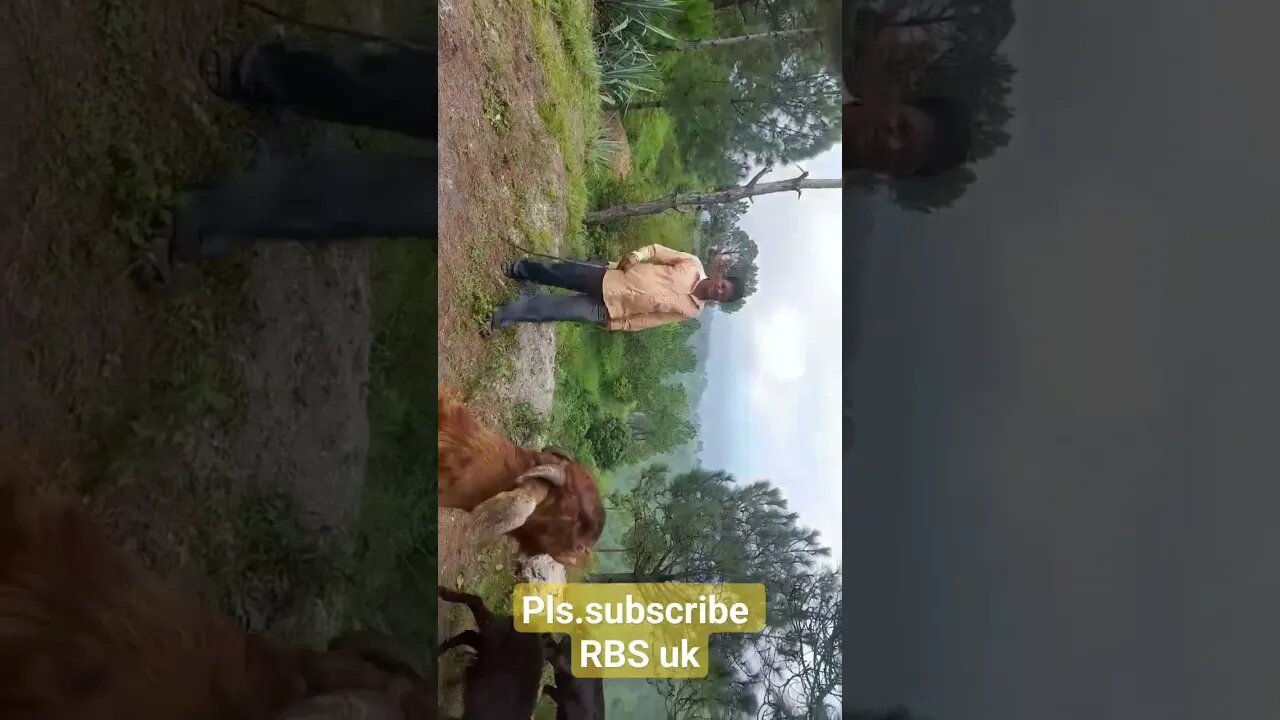 #libaas DJ remix|| #youtube short ||RBS UK|| #Go down deh