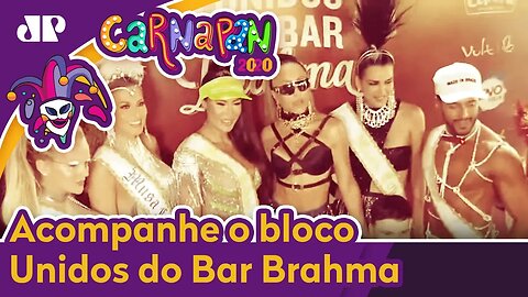 Bloco Unidos do Bar Brahma reuniu famosos em SP