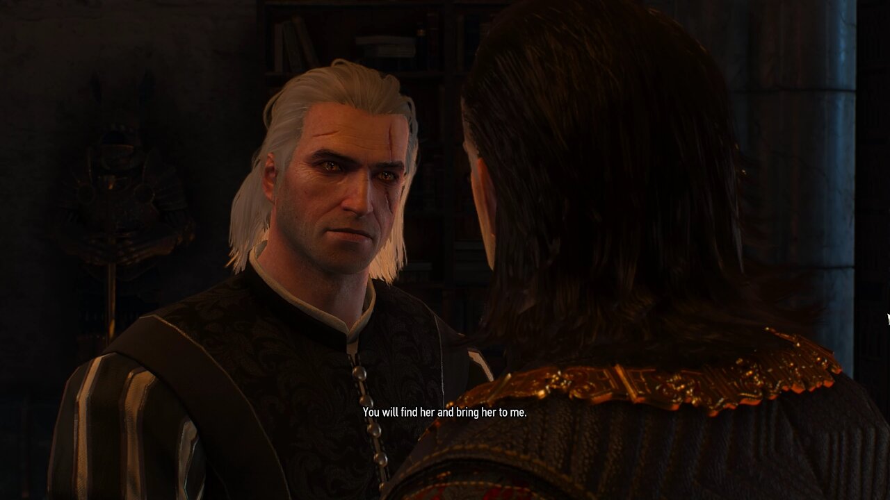 Geralt speaking with the Emperor