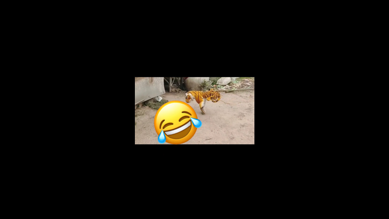 Tiger Scaring dog 😱😱😱prank