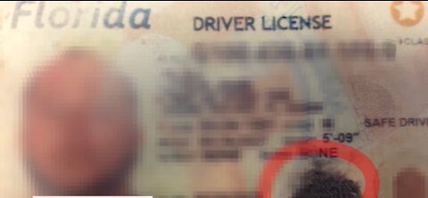 Martin County deputies arrest multiple sex offenders altering their driver's license