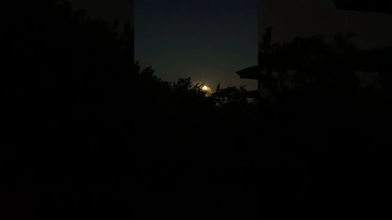 MOON RISE & A CRICKET CONCERT FOR THE LOVE BIRDS