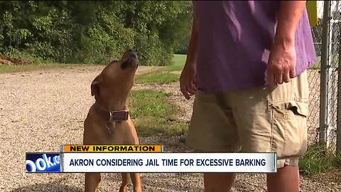 Akron city council members push back on jail time for owners of barking dogs