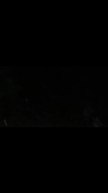 First snow this winter ?