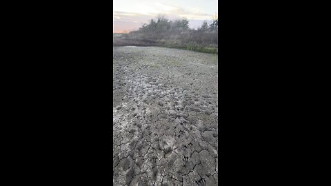 Check out these FOOTPRINTS I FOUND IN A DRIED UP SWAMP❗️🐊