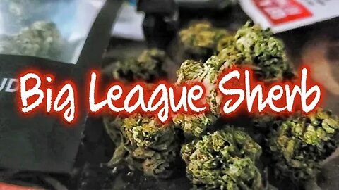 THCA Big League Sherb | Dr Ganja