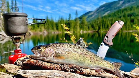 SOLO Backpacking & MOUNTAIN TROUT Fishing! (Catch, Cook, Camp)