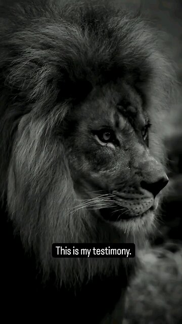 Every American Patriot right now