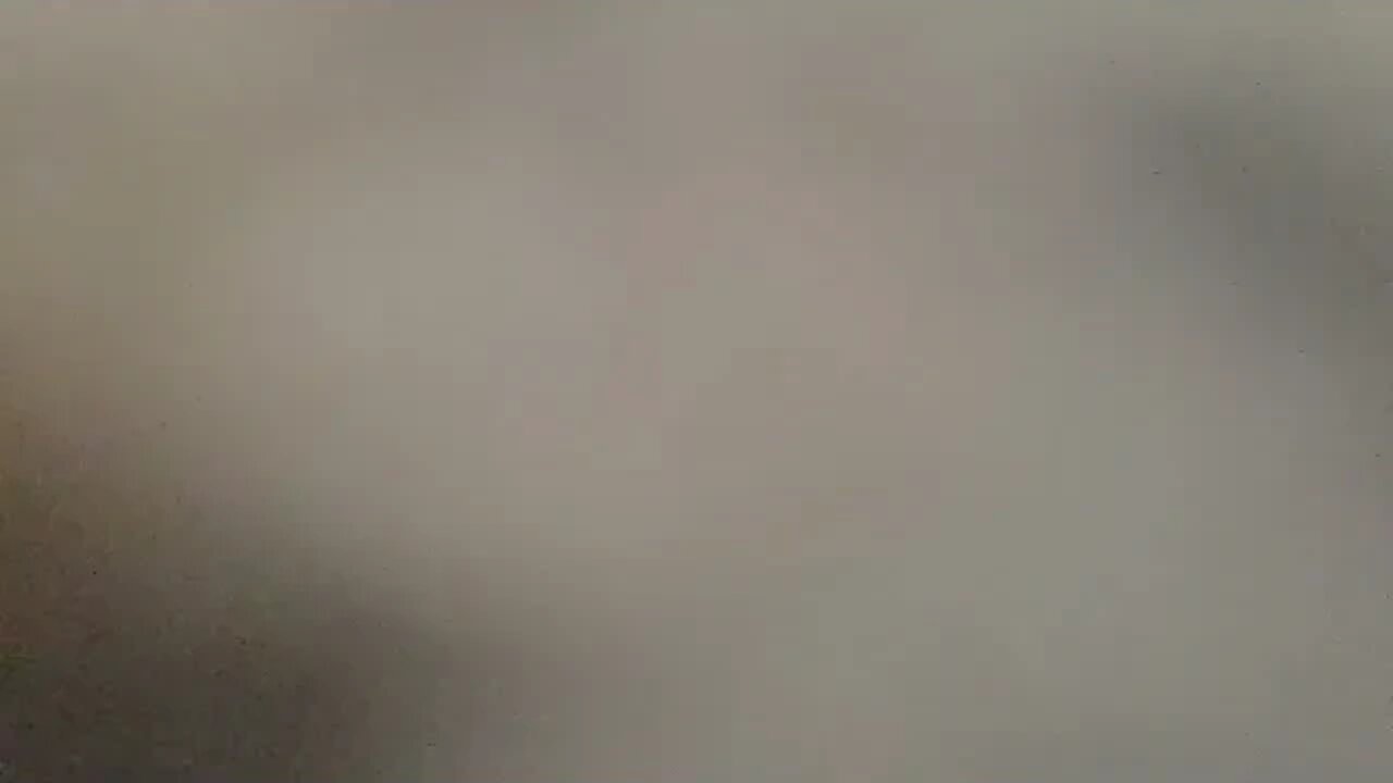 True Freeman Likes Penis