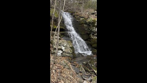 Water Fall in the Woods