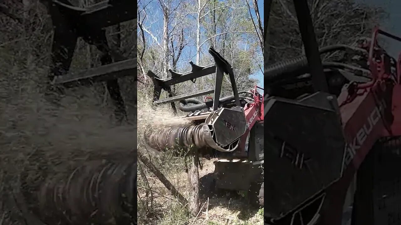 Pawing a Hardwood - Forestry Mulching in Virginia