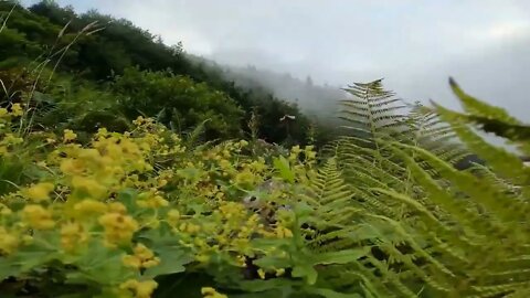 🏕 🏕 yunshan of single tents, camping and relaxed voice 🏕4