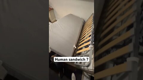 Human SANDWHIcH #viral #shorts #sandwich #comedy #viral