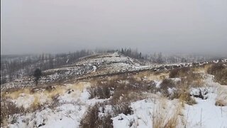 Idaho General Season Cow Elk Hunt 2022. Part 1.