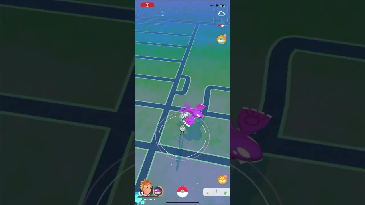 Shiny Compilation