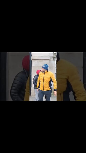 British bull dogs #horseguardsparade