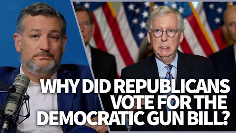 Why did Republicans vote for the Democratic gun bill?