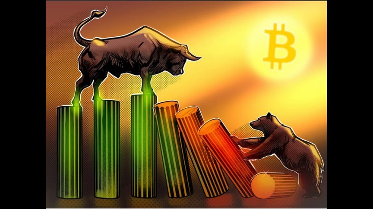Bull run.