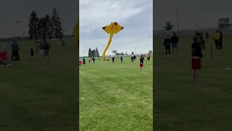 B7D33383 EBD8 4EEC 9DD2 FE6BE8A134B5