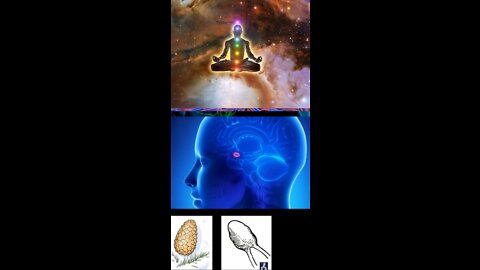 THIRD EYE PINEAL GLAND - THE BIGGEST COVER UP IN HUMAN HISTORY