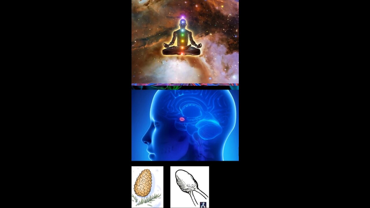 THIRD EYE PINEAL GLAND - THE BIGGEST COVER UP IN HUMAN HISTORY