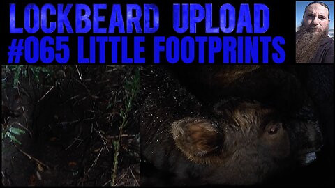 UPLOAD #065. Little Footprints