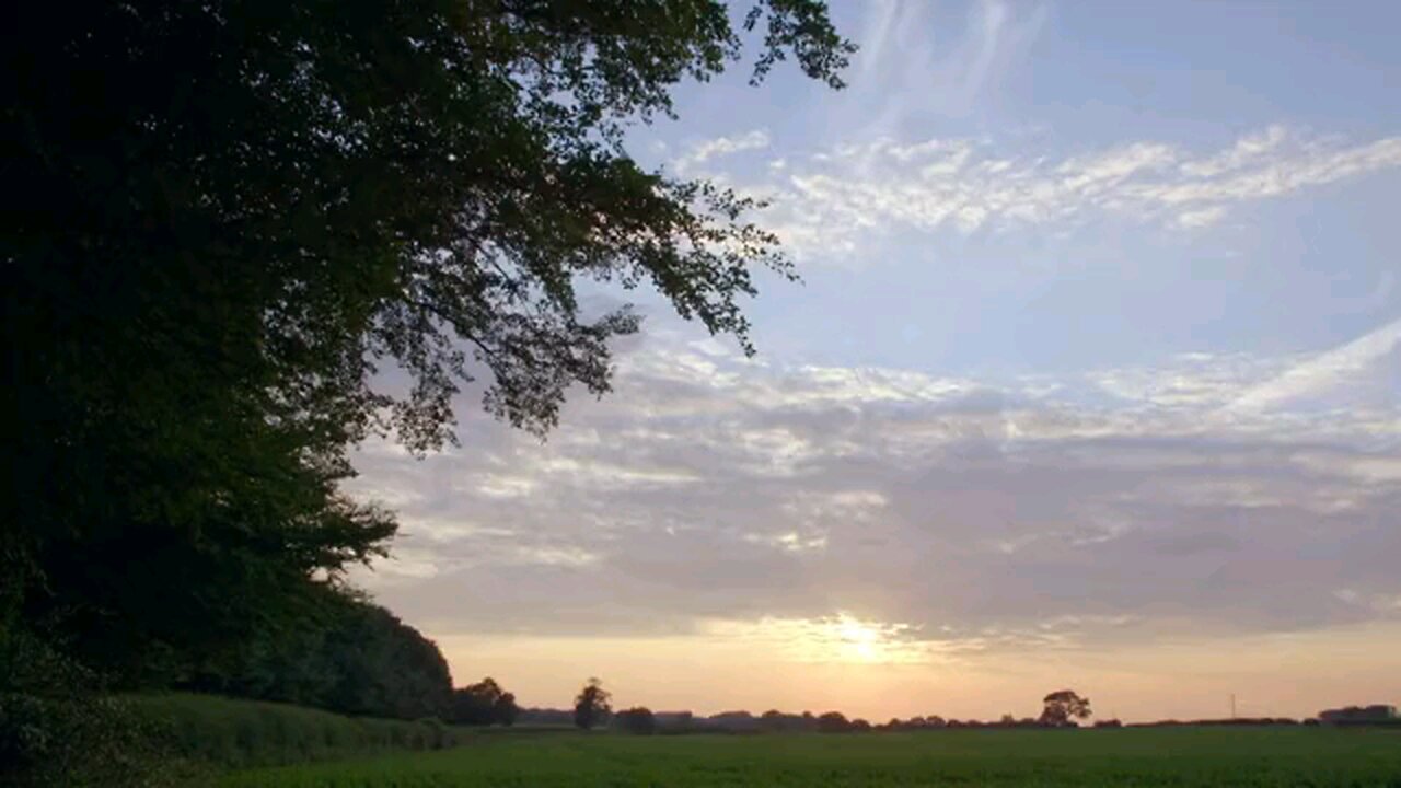 The Murder of Shafilea Ahmed