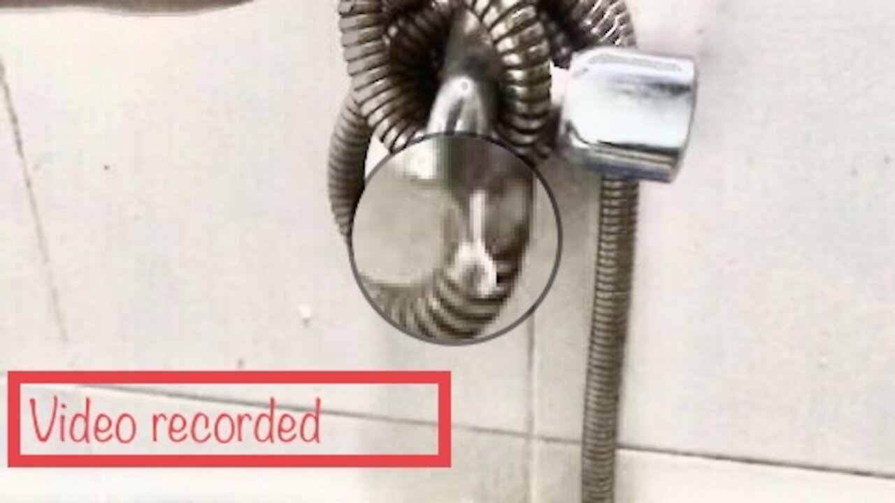 HAVE you seen how a water comes out of the water?