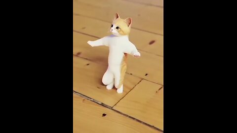 Funny Cat Dance