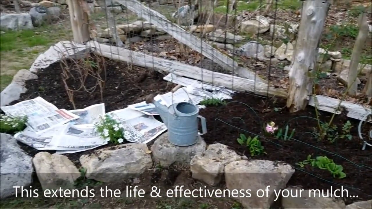 Gardening Tip: Mulch Lasts Longer over Newspaper