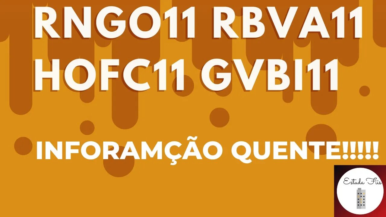 #rngo11 #rbva11 #hofc11 #gvbi11 VEJA AS INFORMAÇÕES DESSES #fiis