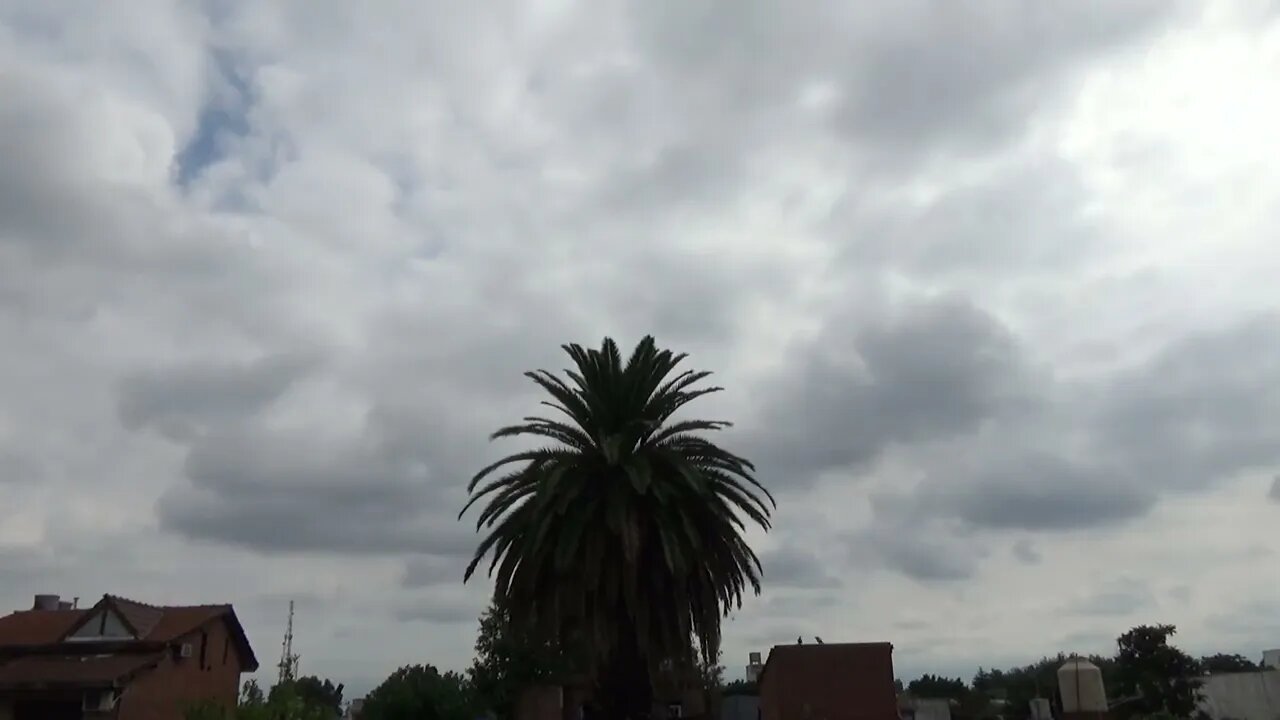 Timelapse Domingo 23 de enero de 2022