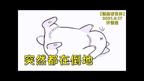 KWT2511突然都在倒地20210917-7【悟里看世界】