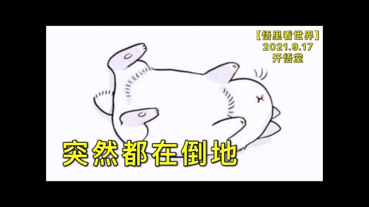 KWT2511突然都在倒地20210917-7【悟里看世界】