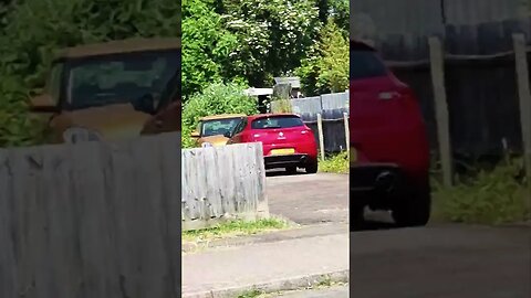 bird 🐦 in flight ✈️