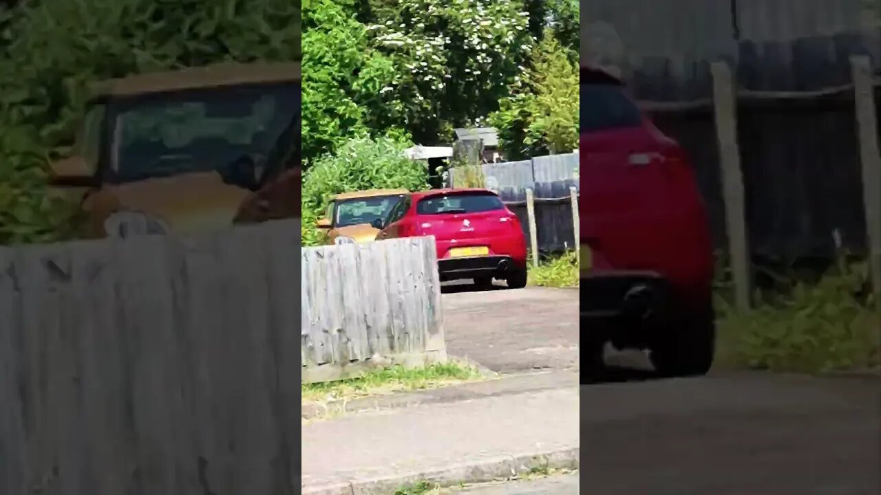 bird 🐦 in flight ✈️