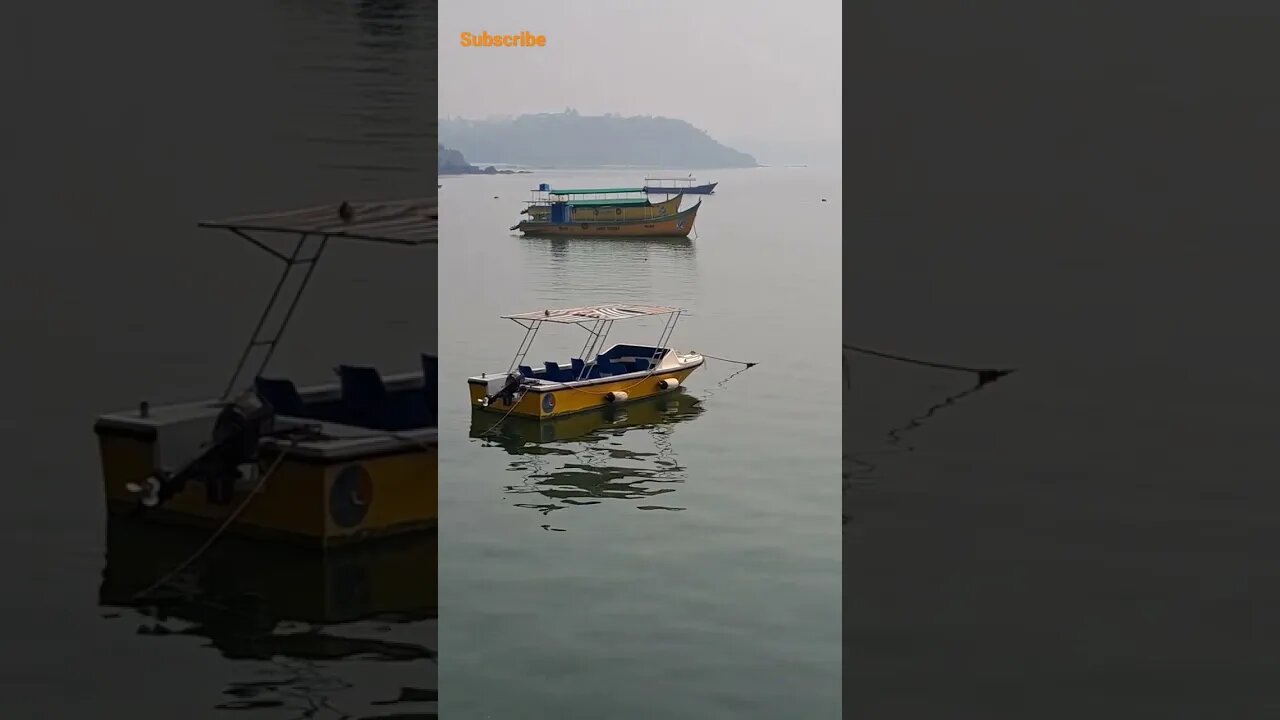 Boat Ride Dolphin Trip Zone Dona Paula Jetty #naturephotography #youtubeshorts #shortvideo #viral