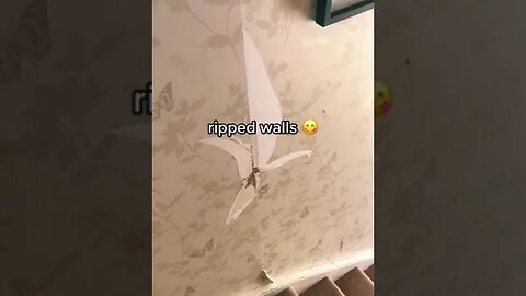 Aesthetic Video Tiktok sophss vibe