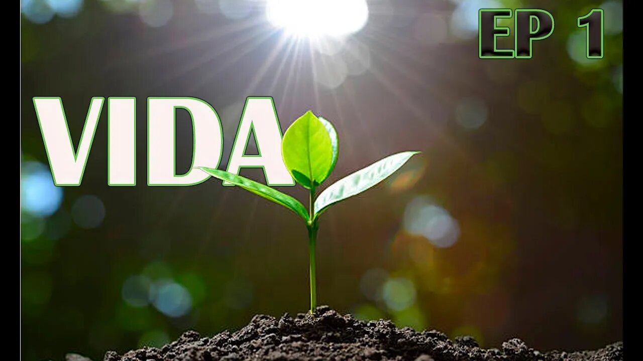 Vida EP 1